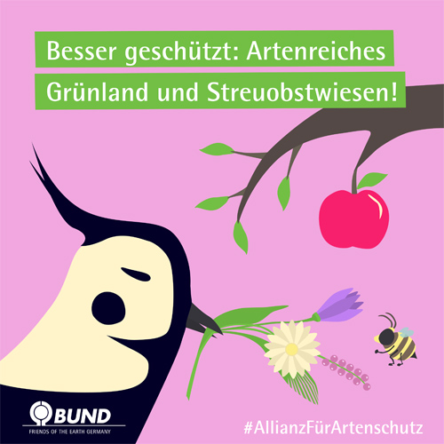 Der niedersächsische Weg: Allianz für Artenschutz II | BUND