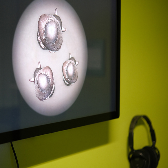 Cosmetic Bodies | Mixed Media by Ben Petersen